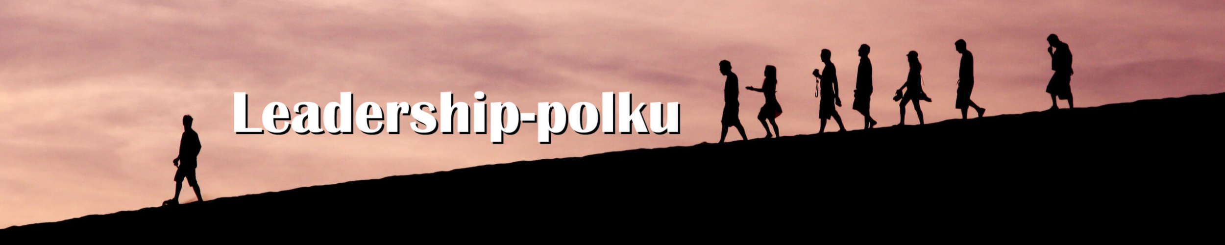 Leadership-polku